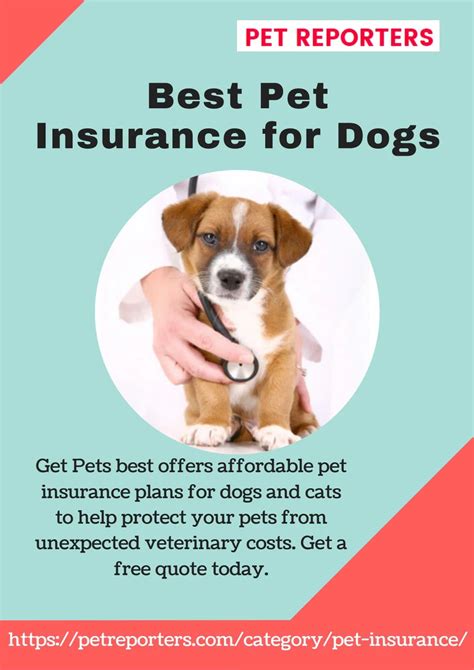 best and affordable pet insurance comparison